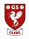 Inkjet Recycling for Glebe Primary School - C100075