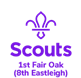 Inkjet Recycling for 1st Fair Oak (8th Eastleigh) Scout Group - C102389