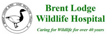 Inkjet Recycling for Brent Lodge Bird  Wildlife Trust-C1191