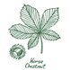 Inkjet Recycling for Horse Chestnut Society - C145793