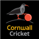 Inkjet Recycling for Cornwall Cricket Board - C156014