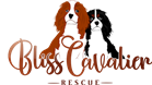 Inkjet Recycling for Bliss Cavalier Rescue - C167669