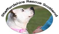 Inkjet Recycling for Save a Staffie Rescue-C25042
