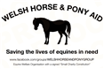 Inkjet Recycling for Welsh Horse and Pony Aid - C59801
