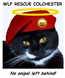 Inkjet Recycling for WLF Rescue & Sanctuary - C98023