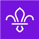 Inkjet Recycling for 25th. Birkenhead Scout Group - C98127
