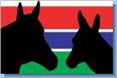 Inkjet Recycling for The Gambia Horse and Donkey Trust - C99543