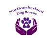 Inkjet Recycling for Northumberland dog rescue - C141283