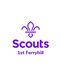 Inkjet Recycling for 1st Ferryhill Scout Group - C147009