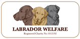 Inkjet Recycling for Labrador Welfare - C149821