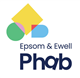 Inkjet Recycling for Epsom and Ewell Phab - C155650