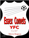 Inkjet Recycling for Essex comets yfc - C158944