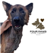 Inkjet Recycling for Four Paws One Heart Rescue - C160961