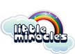 Inkjet Recycling for Little Miracles Charitable Incorporated Organisation - C161694