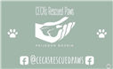 Inkjet Recycling for Cecaâ€™s Rescued Paws-C162177