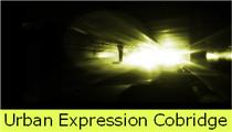 Inkjet Recycling for Urban Expression Cobridge-C36259