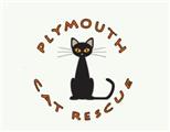 Inkjet Recycling for Plymouth Cat Rescue-C38718
