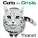 Inkjet Recycling for Cats In Crisis Thanet - C44956