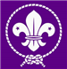 Inkjet Recycling for 1st Wentwood Scout Group - C53284