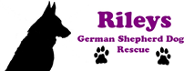 Inkjet Recycling for Rileys German Shepherd Dog Rescue - C57584