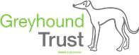 Inkjet Recycling for Greyhound Trust-C72184