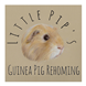 Inkjet Recycling for Little Pip's Guinea Pig Rehoming - C73070