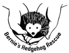Inkjet Recycling for Bernie's Hedgehog Rescue - C92983