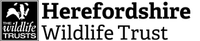 chosen charity logo