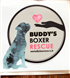 Inkjet Recycling for Buddy's Boxer Rescue - C97329